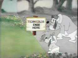 Le non-sens de Tex Avery